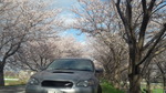 DCF00244.jpg