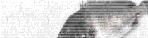 GXeB}̃`kނL